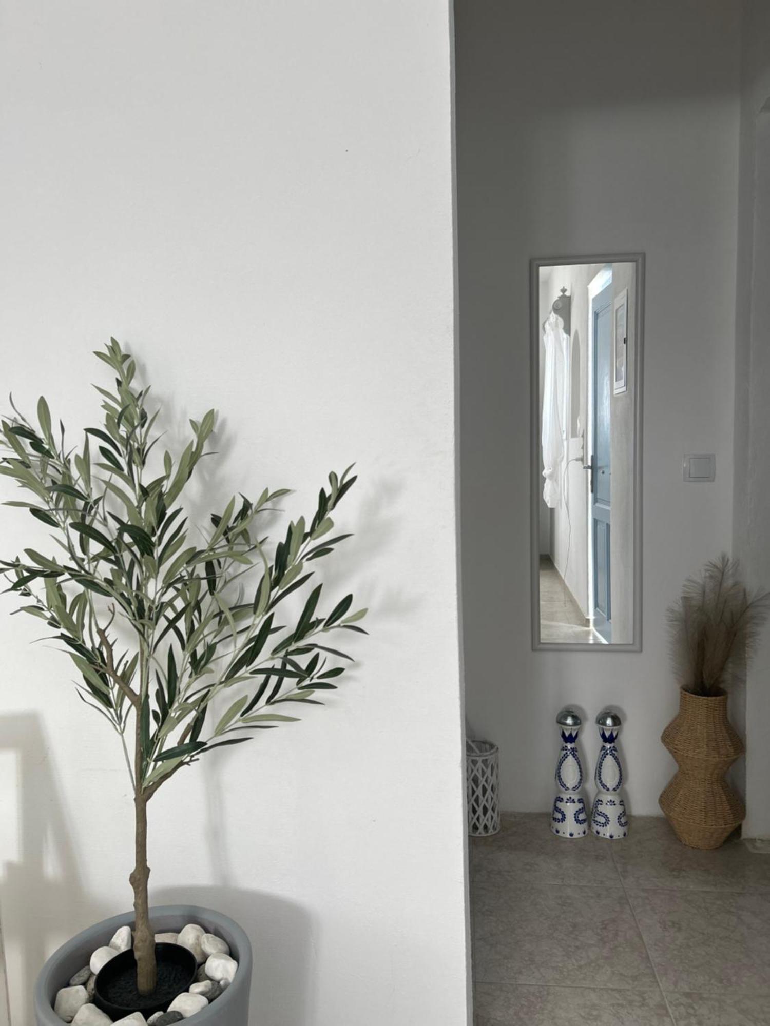 Cozam Mykonos Apartment Ano Mera Exterior photo